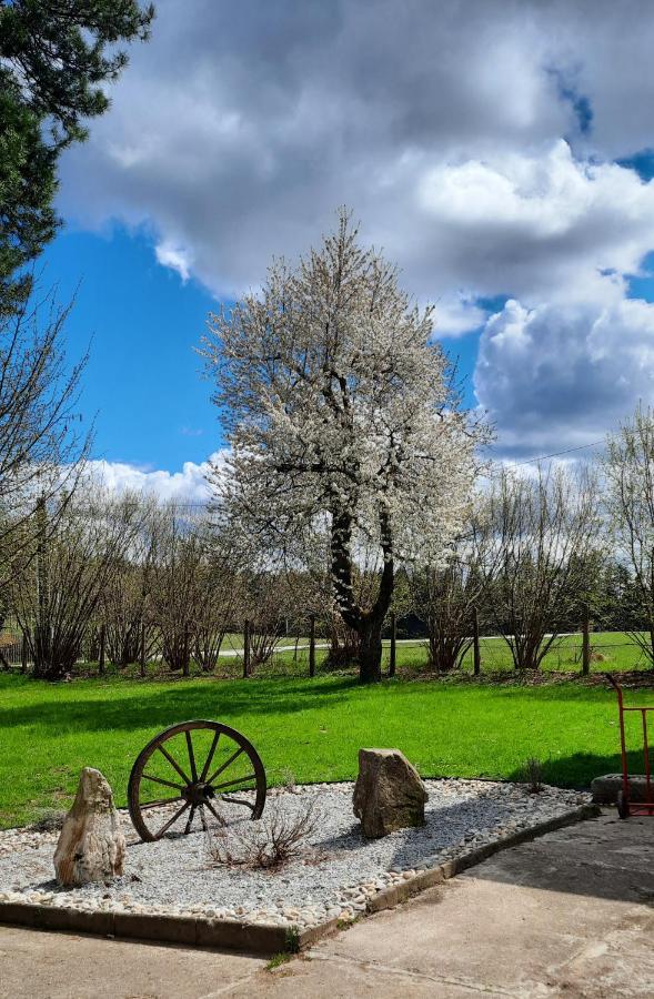 Penzion U Statku Lodherov Luaran gambar